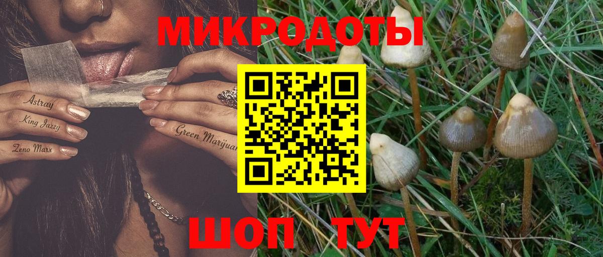 Псилоцибиновые грибы MAGIC MUSHROOMS  Вход с VPN  Мурино 